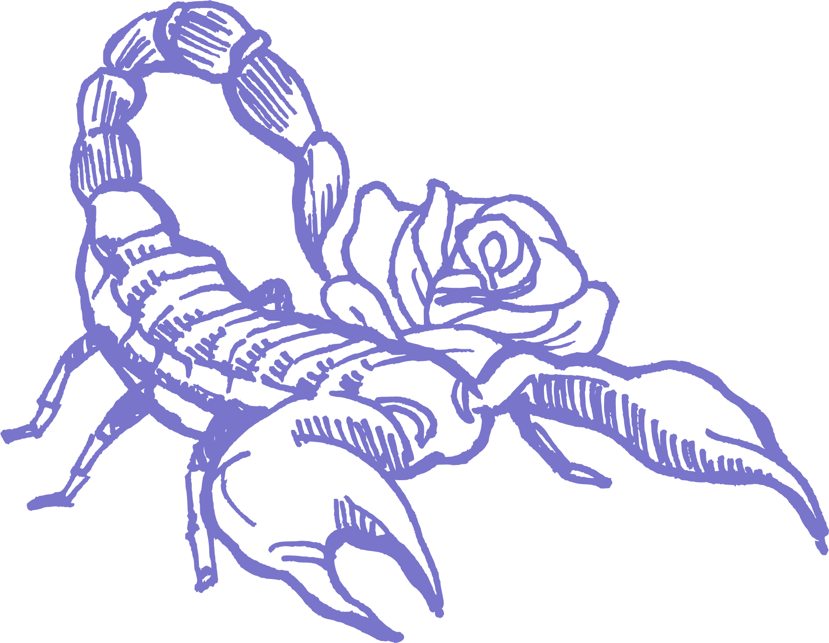 Scorpion